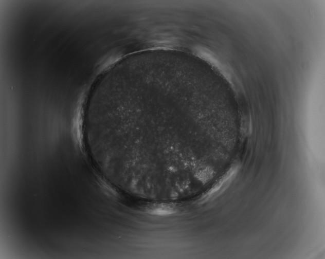 X0000087521411200705181004