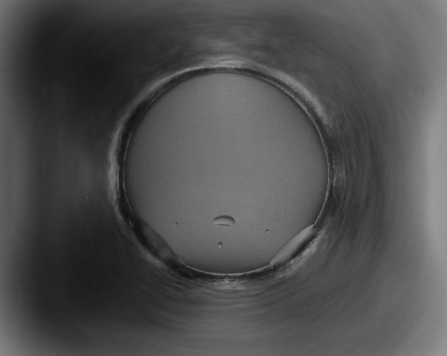 X0000087521414200705181004