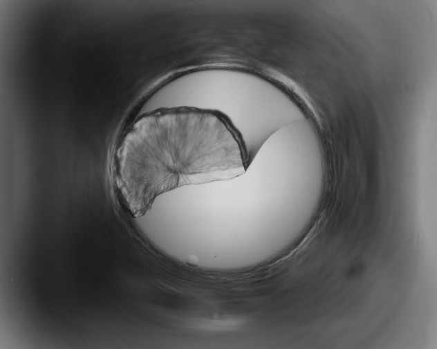 X0000087521415200705181004