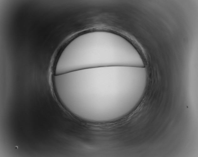 X0000087521416200705181004