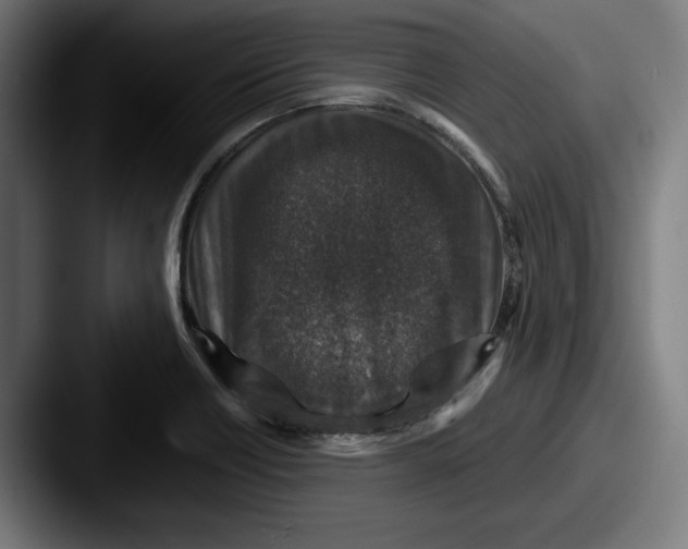 X0000087521418200705181004