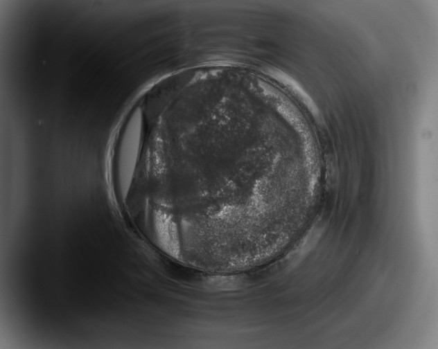 X0000087521419200705181004