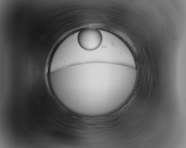 X0000087521420200705181004