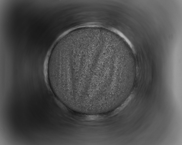 X0000087521421200705181004