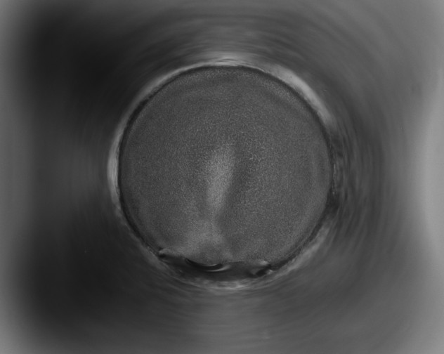 X0000087521424200705181004