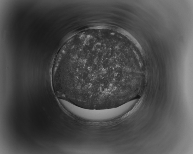 X0000087521425200705181004