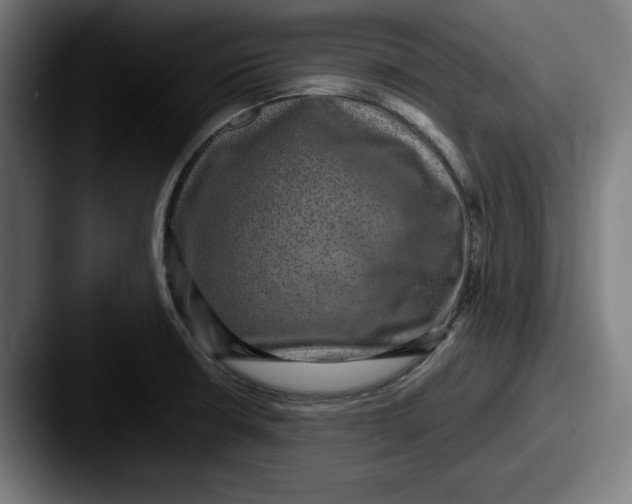 X0000087521426200705181004