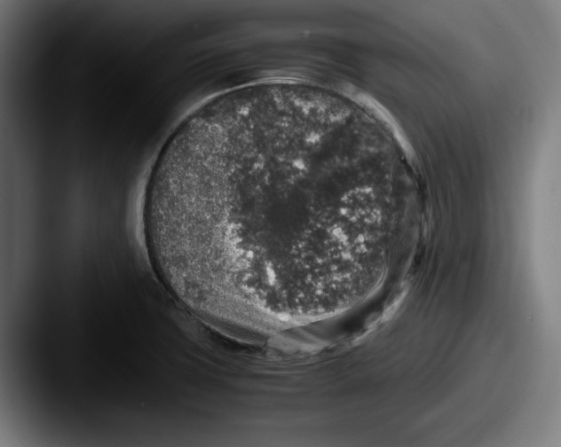 X0000087521427200705181004