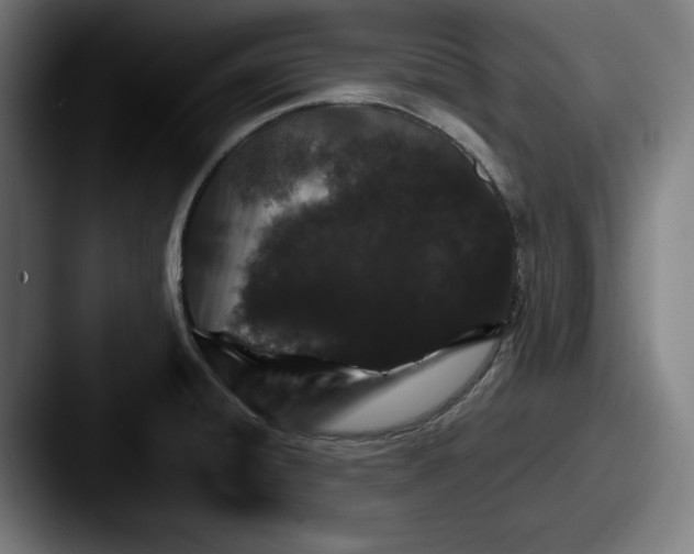 X0000087521428200705181004