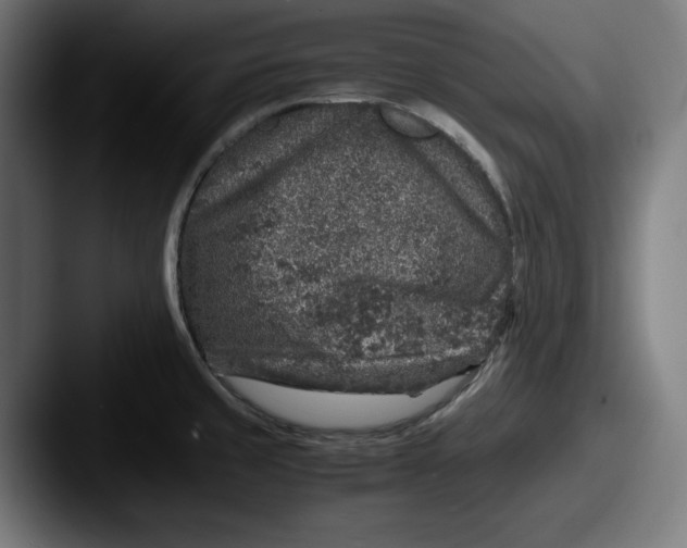 X0000087521429200705181004