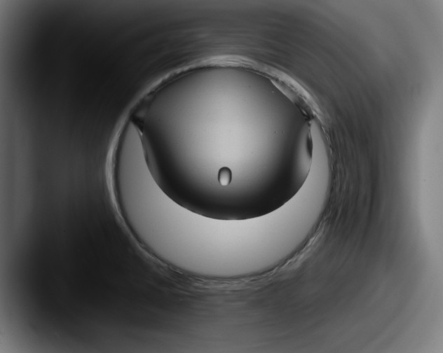 X0000087521430200705181004