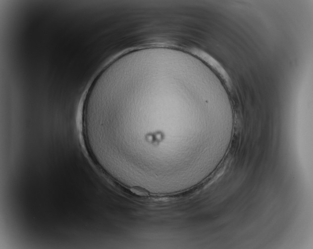 X0000087521431200705181004