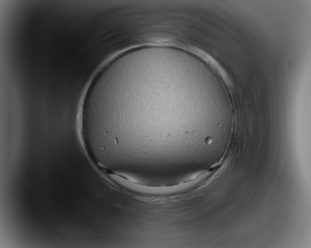 X0000087521432200705181004