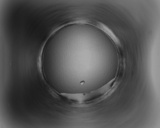 X0000087521436200705181004