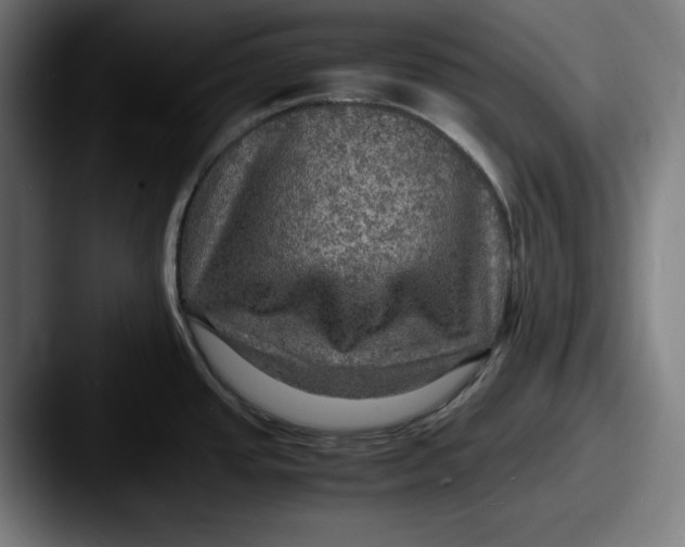 X0000087521437200705181004