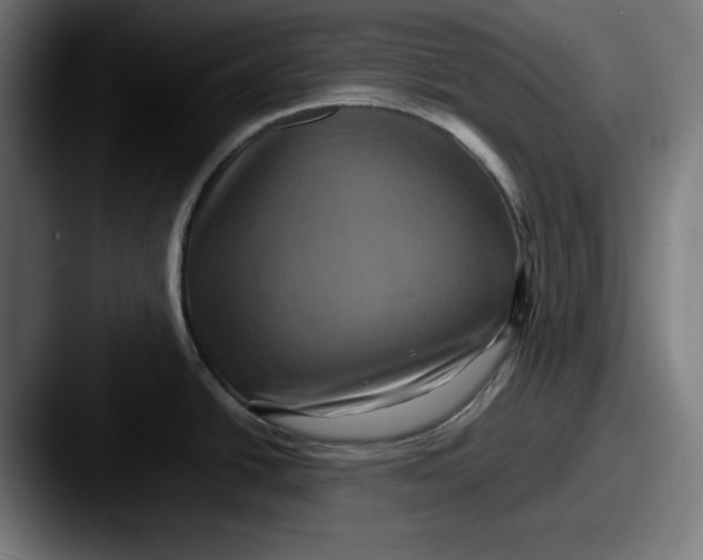 X0000087521438200705181004