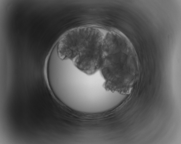 X0000087521439200705181004