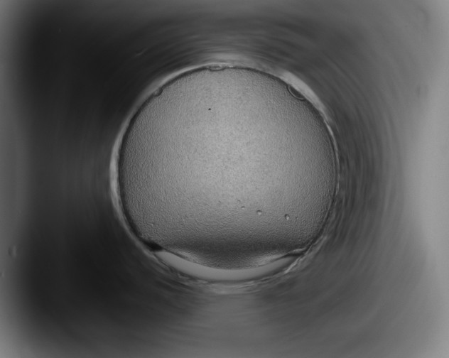 X0000087521440200705181004