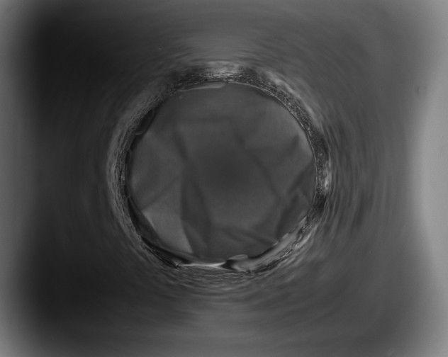 X0000087521441200705181004