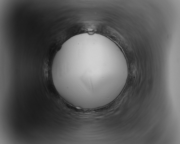 X0000087521442200705181004