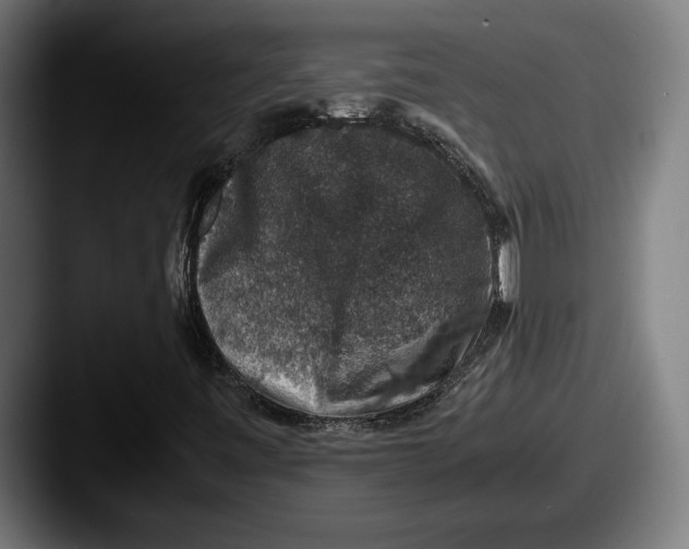 X0000087521443200705181004