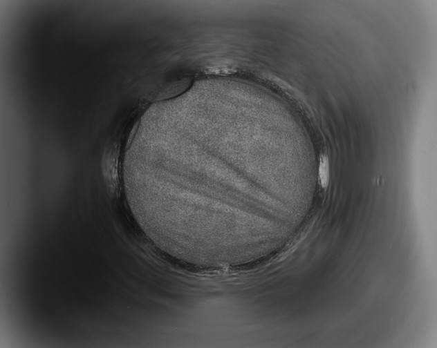 X0000087521444200705181004