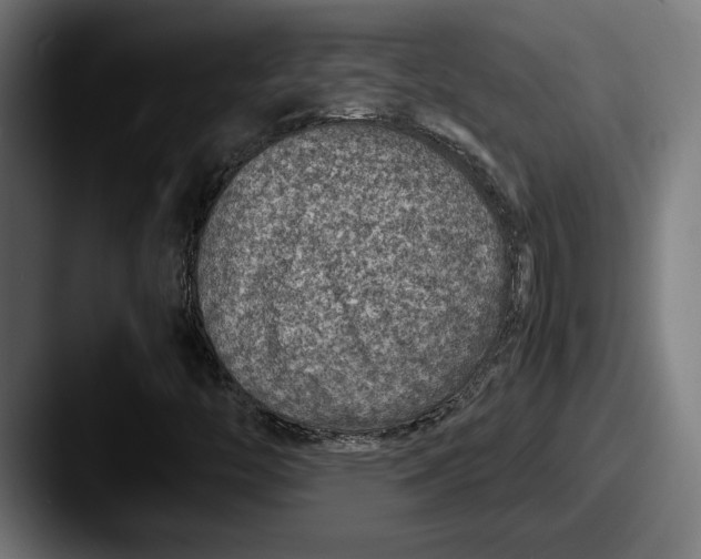 X0000087521446200705181004