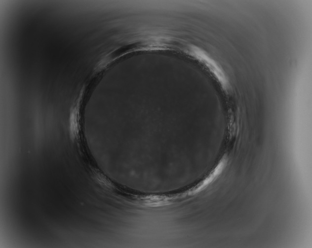 X0000087521449200705181004