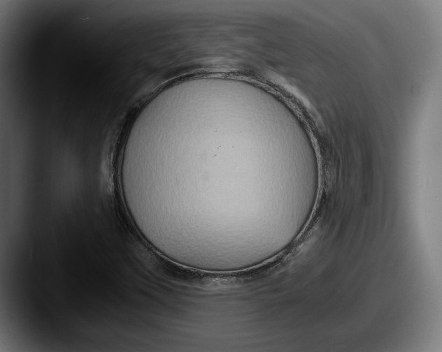 X0000087521451200705181004