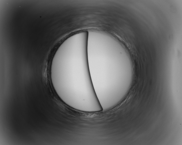 X0000087521452200705181004