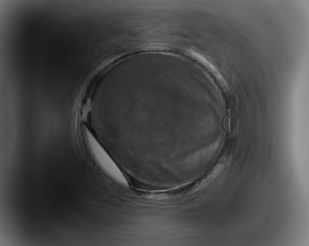 X0000087521453200705181004