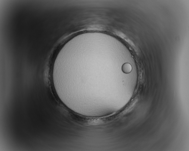 X0000087521454200705181004