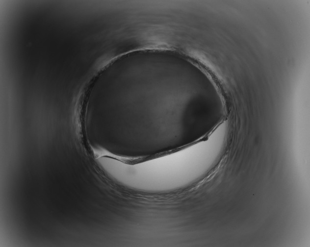 X0000087521455200705181004