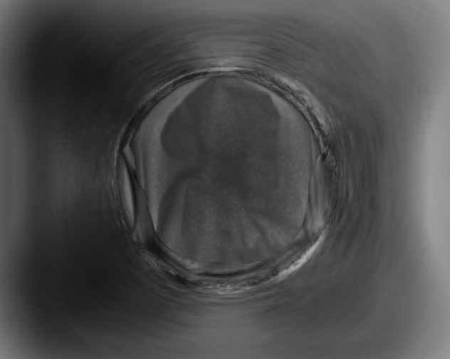 X0000087521457200705181003