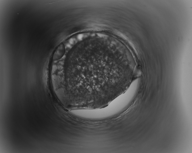 X0000087521459200705181003