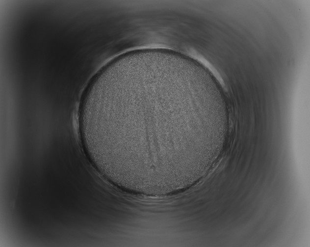 X0000087521460200705181003