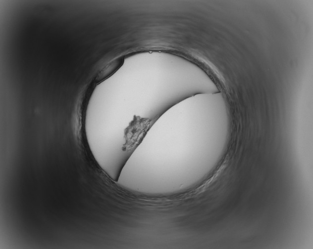 X0000087521461200705181003