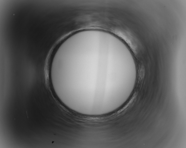 X0000087521462200705181003