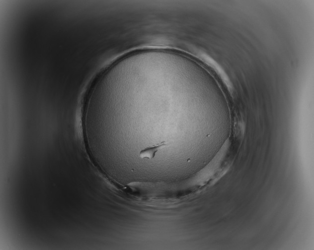 X0000087521464200705181003