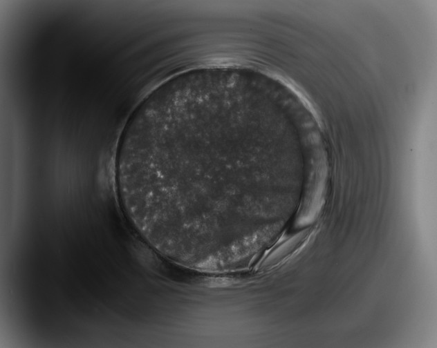 X0000087521465200705181003