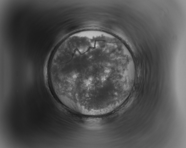 X0000087521466200705181003