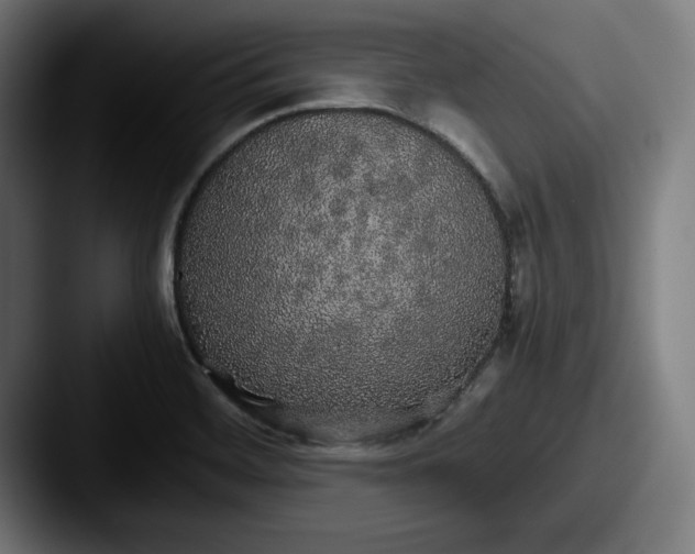 X0000087521468200705181003