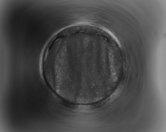 X0000087521469200705181003