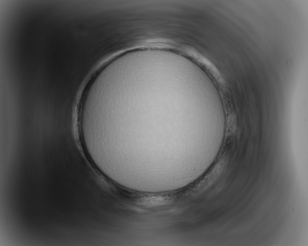 X0000087521470200705181003