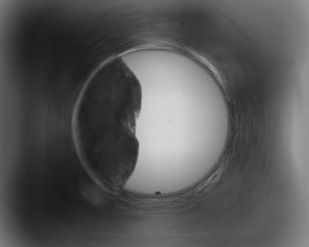 X0000087521471200705181003