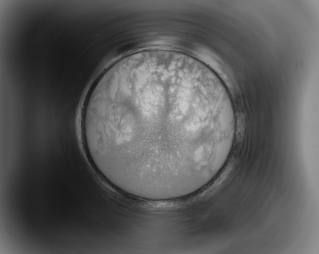 X0000087521474200705181003