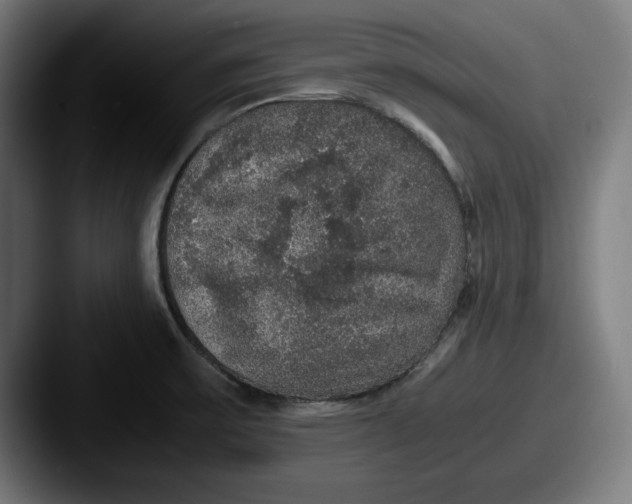 X0000087521475200705181003