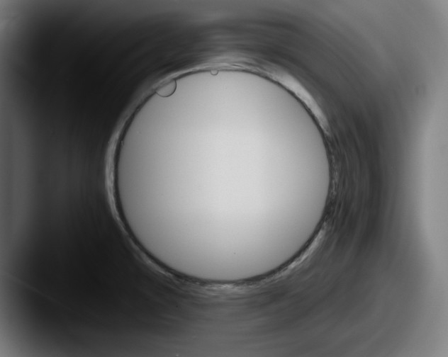 X0000087521478200705181003