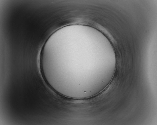 X0000087521479200705181003