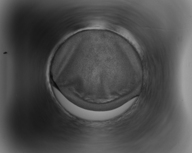 X0000087521480200705181003